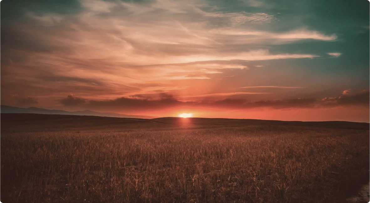 The dawn of good health at Arogyodayam Ayurveda