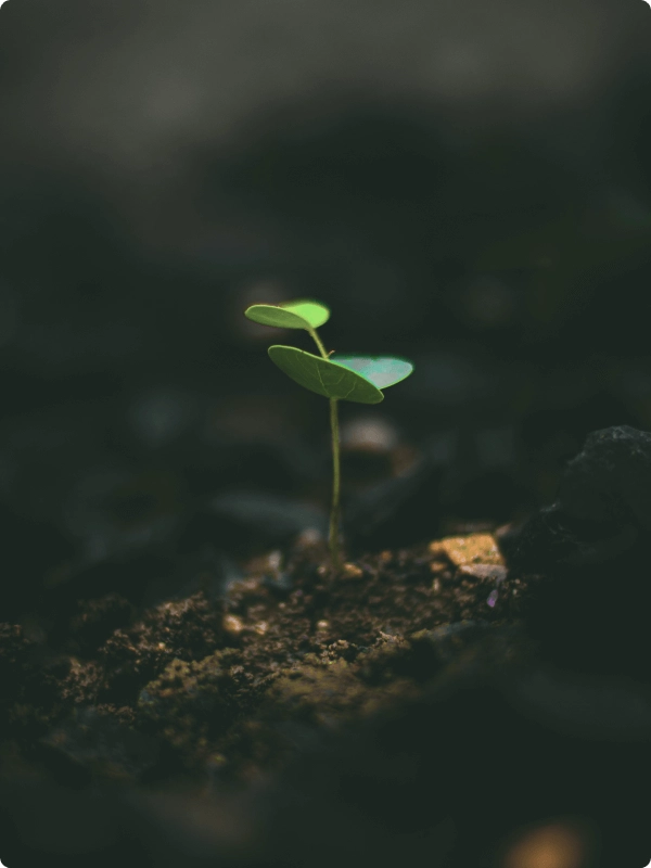 The humble beginning of Arogyodayam Ayurveda