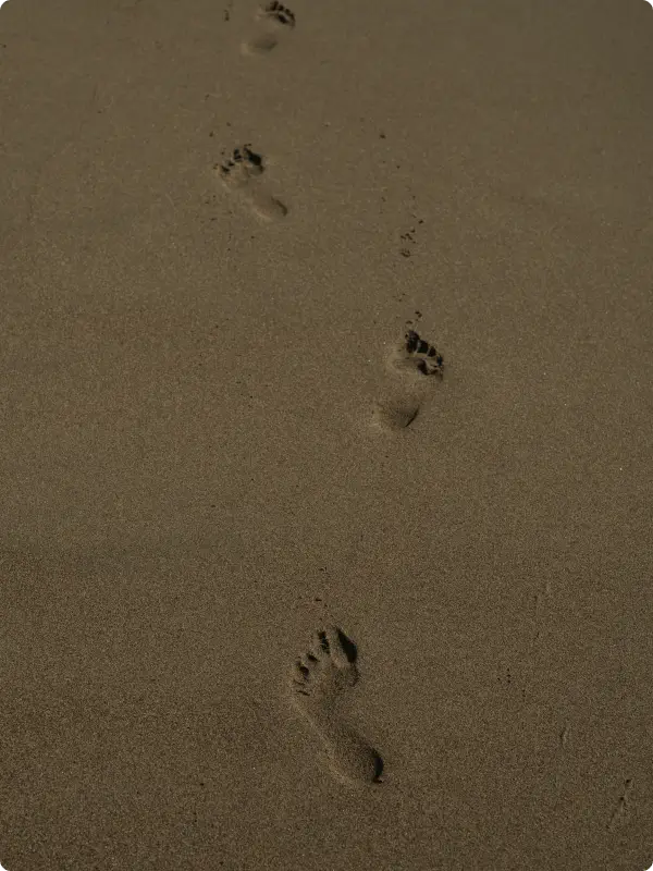 Following the footsteps atArogyodayam Ayurveda