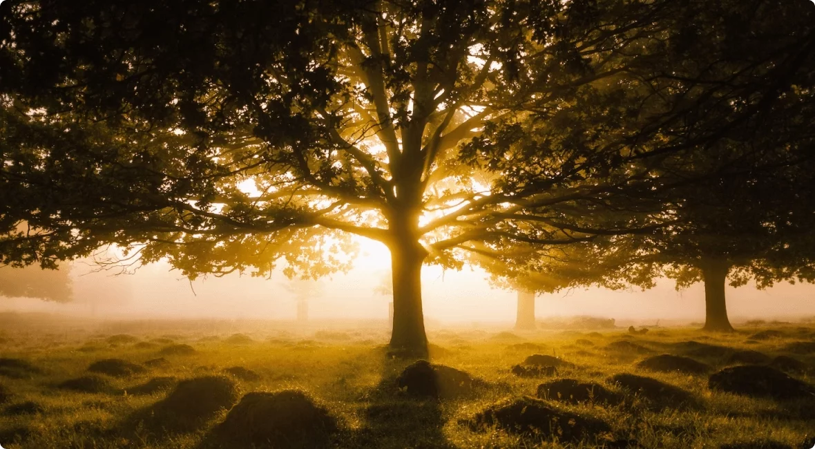 Arogyodayam System - Healing from Deep Within